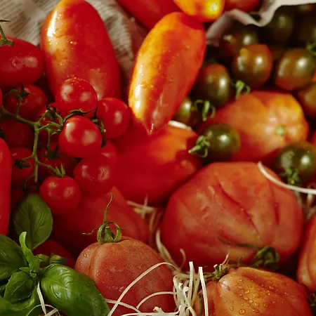 维多利亚少女峰温泉大酒店 5* 因特拉肯