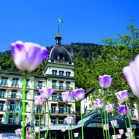 Victoria Jungfrau Grand & 5*